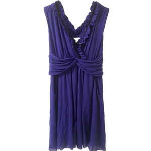 Weston Wear Royal Blue nylon dress-Medium